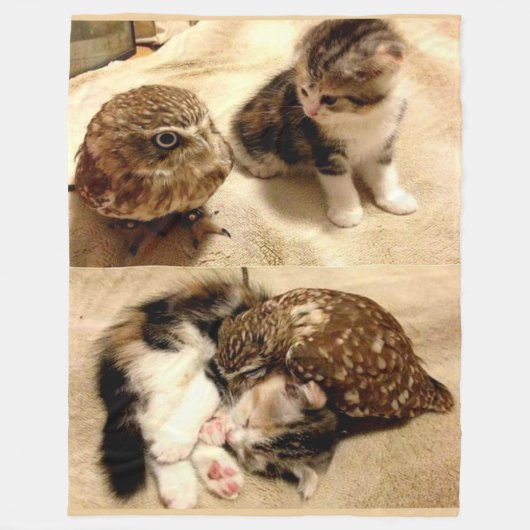 EIGENTÜMER SIND NUR KATZEN MIT FLÄCHEN FLEECEDECKE (Vorderseite)