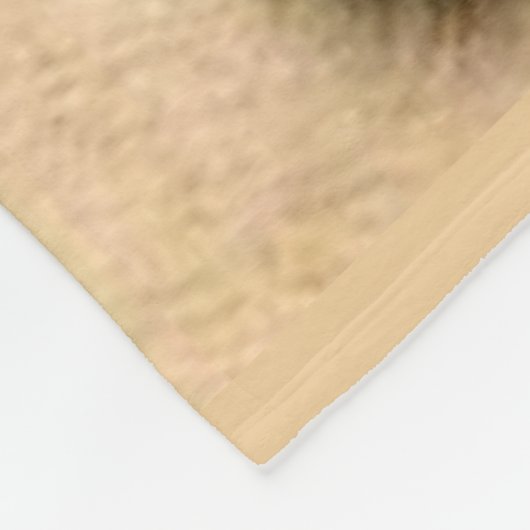 EIGENTÜMER SIND NUR KATZEN MIT FLÄCHEN FLEECEDECKE (Ecke)