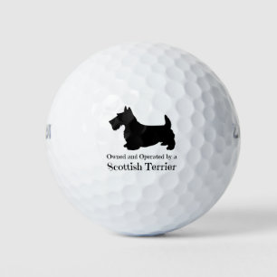 Eigentümer und Betreiber einer schottischen Terrie Golfball