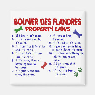 Eigentums-Gesetze 2 BOUVIER DES FLANDRES Magnet