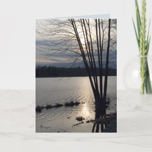 Eight Wands Karte (Vorderseite)