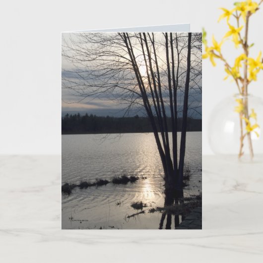 Eight Wands Karte (Gelbe Blume)