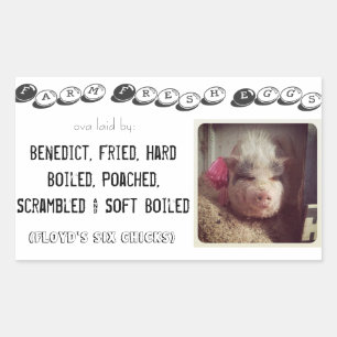 Eikartonaufkleber Rechteckiger Aufkleber