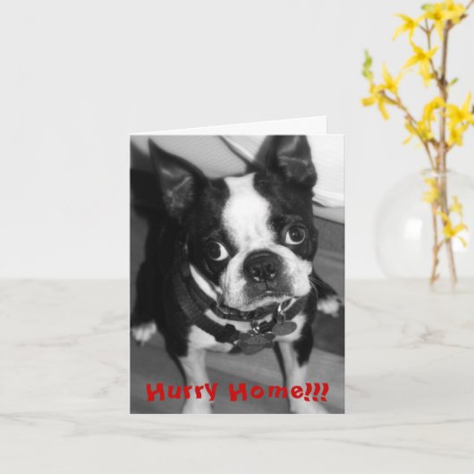 Eile-Zuhause Karte (Gelbe Blume)