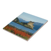 Eilean Donan Castle, Highlands, Schottland 3 Fliese (Seite)