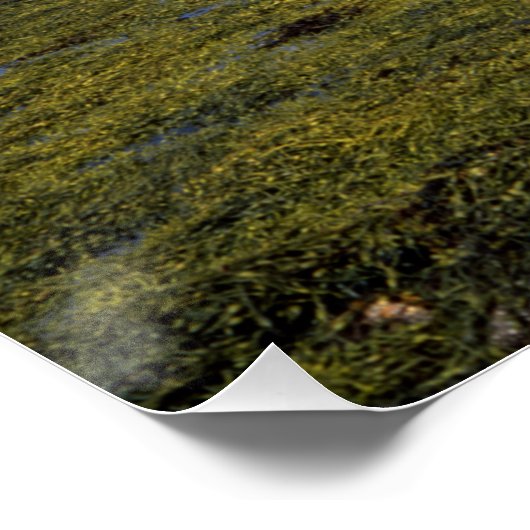 Eilean Donan Castle Scotland Poster (Ecke)