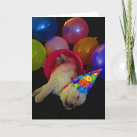 Eimer Lucy Karte (Vorderseite)