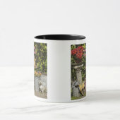 Eimer, Schuhe und Blumen, Zaanse Schans, Tasse (Zentrum)