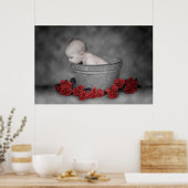 Eimer und Rose Poster (Küche)