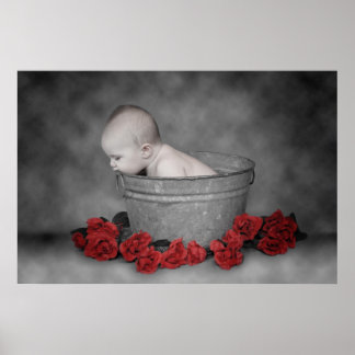 Eimer und Rose Poster