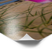 Eimer und Spade am Dornoch Beach Fotodruck (Ecke)