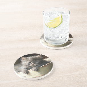 Eimer voll von Joy Sweet Gray Kitten Getränkeuntersetzer