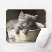 Eimer voll von Joy Sweet Gray Kitten Mousepad (Mit Mouse)