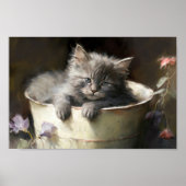Eimer voll von Joy Sweet Gray Kitten Poster (Vorne)