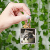 Eimer voll von Joy Sweet Gray Kitten Schlüsselanhänger (Hand)