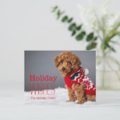 Ein 10-Wochen-alter Zwergpudel Feiertagspostkarte (Stehend Vorderseite)