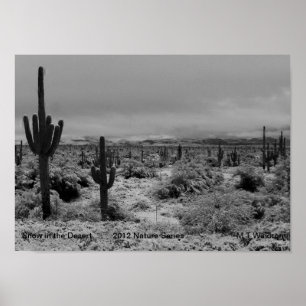 Ein 1 Druck-Schnee in der Wüsten-Natur-Reihe 2012 Poster