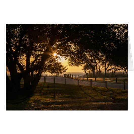 Ein Abend bei Whalehead (Vorderseite (Horizontal))