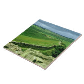 Ein Abschnitt von Hadrians Wand, ANZEIGE des 2. Fliese (Seite)