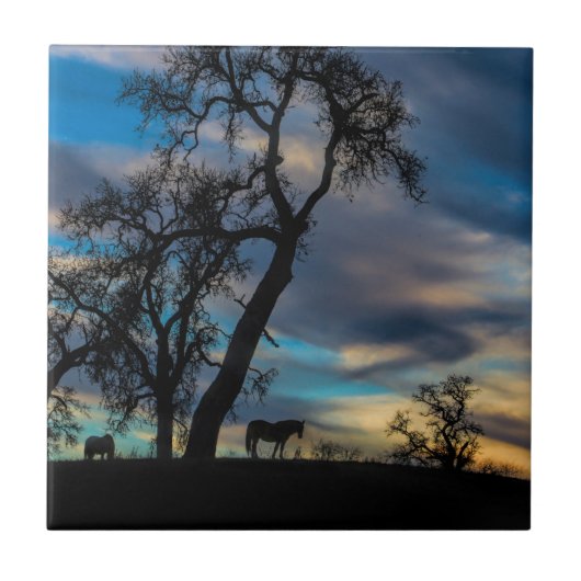 Ein Abstecher in die Geschichte des Roten Meeres Fliese (Vorderseite)