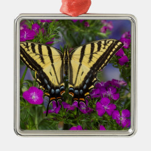 Ein Admiral auf dunkelrosa Blüten Ornament Aus Metall
