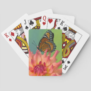 Ein Admiralfalter auf einer Zinnia Spielkarten