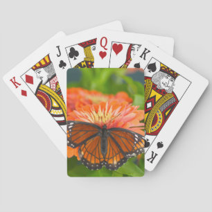 Ein Admiralfalter auf orangen Zinnias Spielkarten