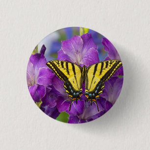 Ein Admiralfalter auf violetten Gladiolen Button