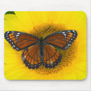 Ein Admiralfalter Limenitis Archippus Mousepad