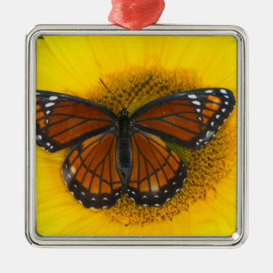 Ein Admiralfalter Limenitis Archippus Ornament Aus Metall