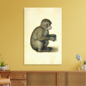 Ein Affe Leinwanddruck (Insitu (Wohnzimmer))