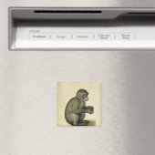 Ein Affe Magnet (In Situ (Geschirrspüler))