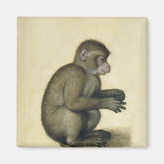 Ein Affe Magnet (Vorne)