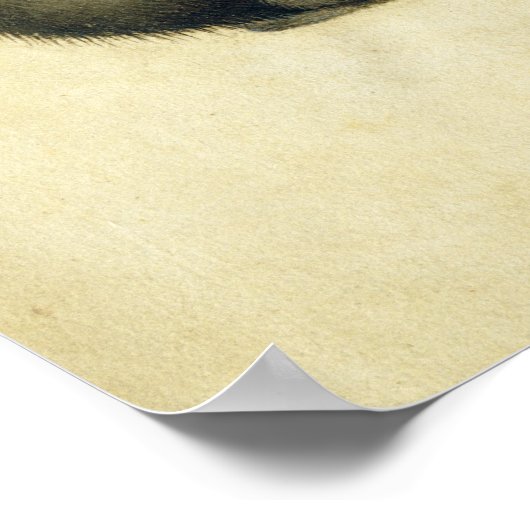 Ein Affe Poster (Ecke)