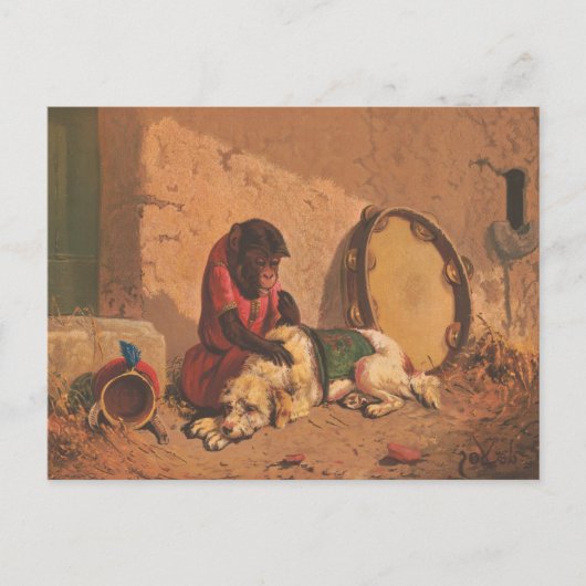 Ein Affe und ein Hund mit einem großen Tambourin Postkarte (Vorderseite)