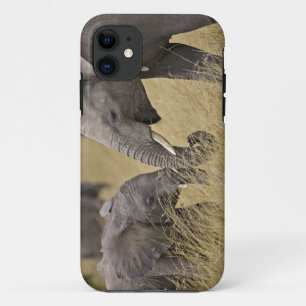 Ein Afrikanischer Elefant grast auf den Feldern iPhone 11 Hülle