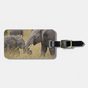 Ein Afrikanischer Elefant grast auf den Feldern Gepäckanhänger