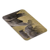 Ein afrikanischer Elefant weidet auf den Feldern Magnet (Rechte Seite)