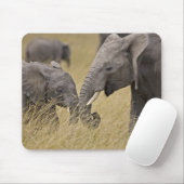 Ein afrikanischer Elefant weidet auf den Feldern Mousepad (Mit Mouse)