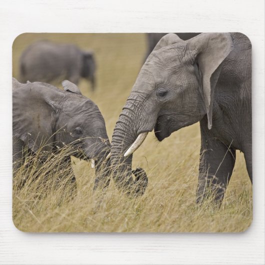 Ein afrikanischer Elefant weidet auf den Feldern Mousepad (Vorne)