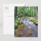 Ein akadischer Stream Postkarte (Vorne/Hinten)