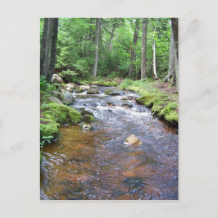 Ein akadischer Stream Postkarte