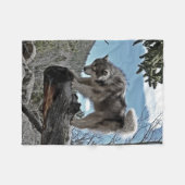 Ein alaskischer Malamute, der durch den Namen Fleecedecke (Vorderseite (Horizontal))