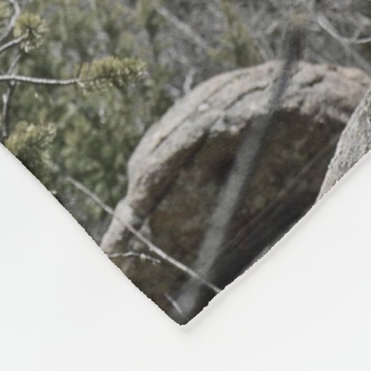 Ein alaskischer Malamute, der durch den Namen Fleecedecke (Ecke)