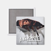 Ein Albtraum an der Elm Street | Freddy Krueger Pe Magnet (Vorderseite/Rückseite)