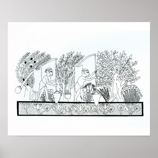 Ein alter ägyptischer Garten (Gravur) (b/w Foto) Poster (Vorne)