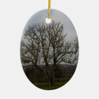 Ein alter Baum mitten in Spielplatz und Garten Keramikornament