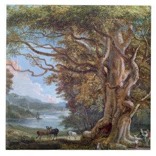 Ein alter Buchen-Baum, 1794 (Öl auf Leinwand) Fliese