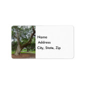 Ein alter Eichenbaum Adressaufkleber (Vorne)