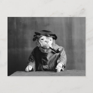Ein alter Seebär: 1905 Postkarte